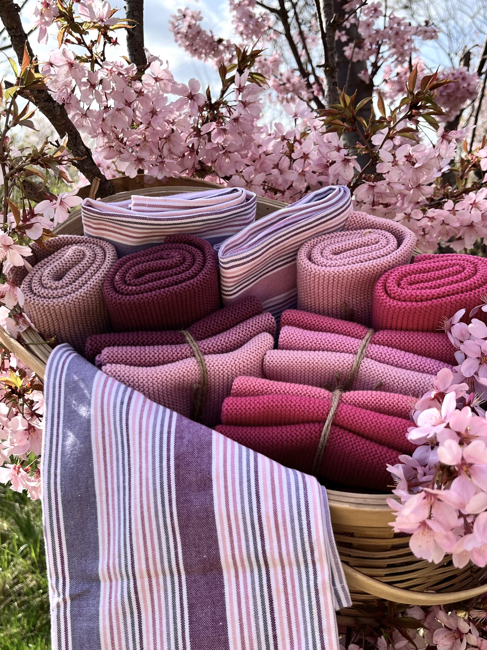 Plum - organic