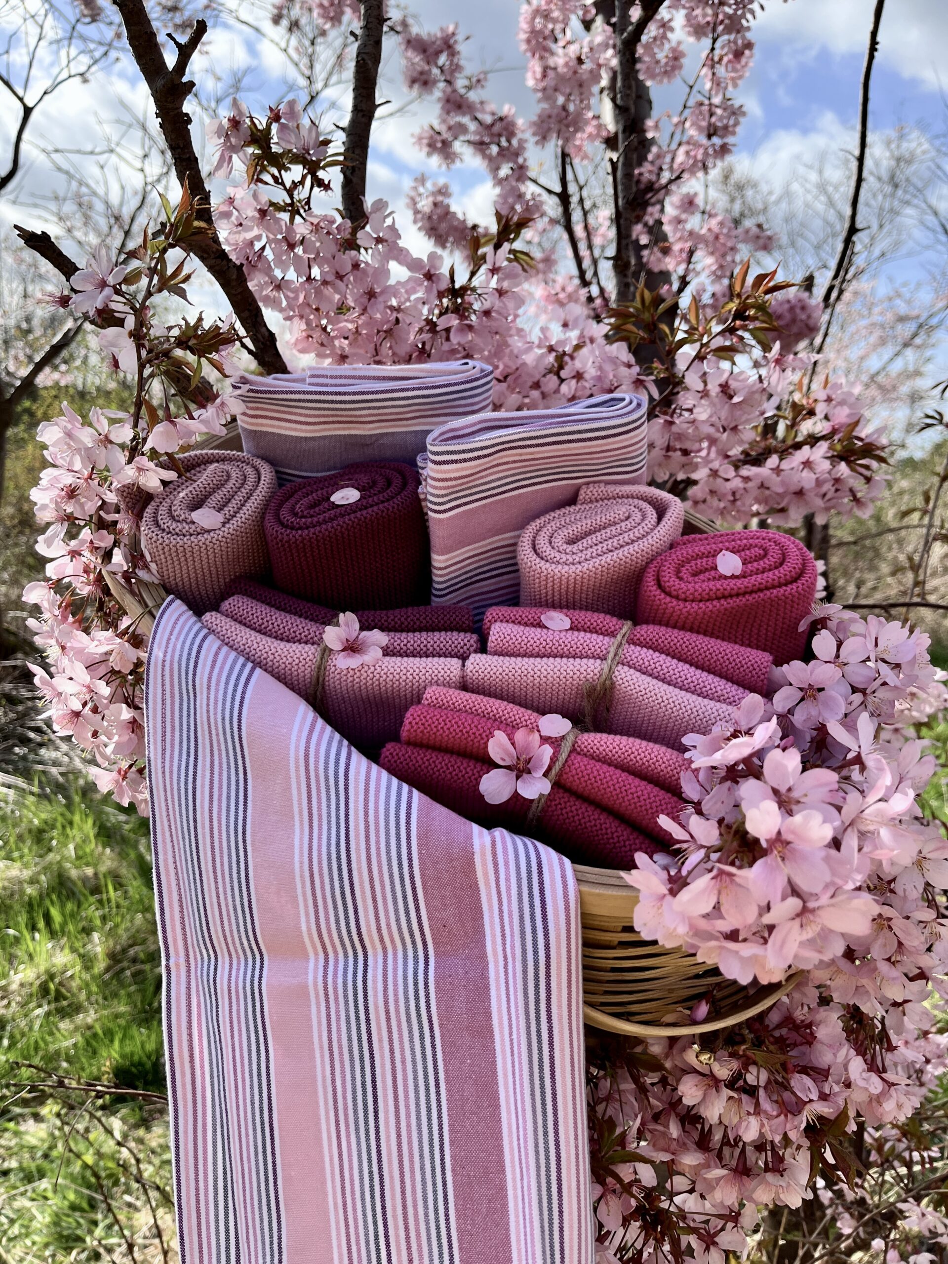 Plum - organic